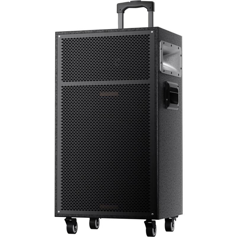 Newman N550 12-inch Portable Outdoor Bluetooth Speaker with Microphone