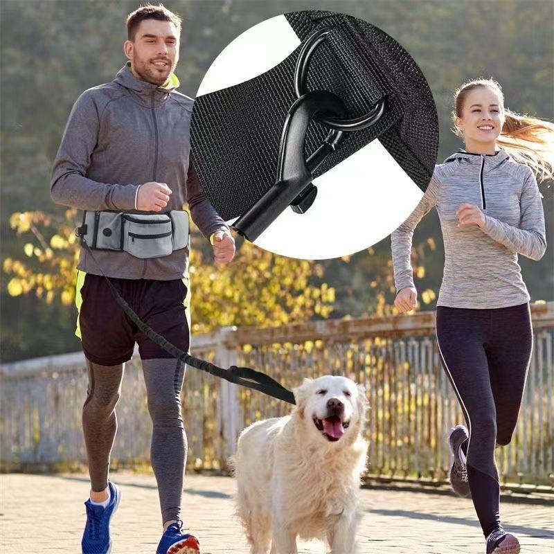 Style Pet Bag with Zipper Closure and 600D Material Portability