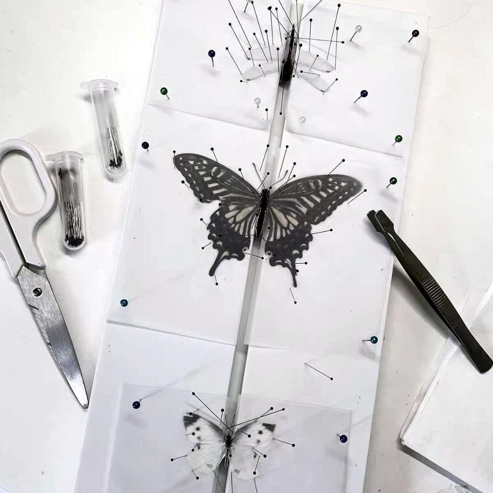 White Insect Pinning Board Double Sided EVA Foam Combined Plates Pose Insects Boards Butterfly Spreading Wings