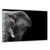 TEMPERED GLASS CUTTING BOARD 30x22 ELEPHANT