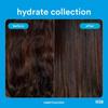 Verb Hydrating Conditioner 12.0 Oz