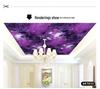 3D Reflective KTV Wall Cloth for Singing Room & Bar Theme Ceiling