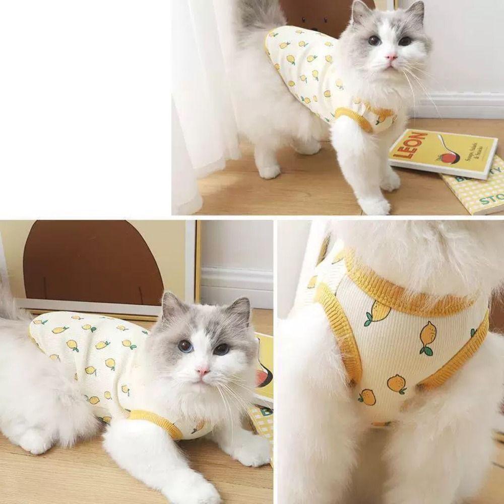 Cute Dog Clothes Soft Pet Shirt Pet Clothing Pet T-shirt Kittens