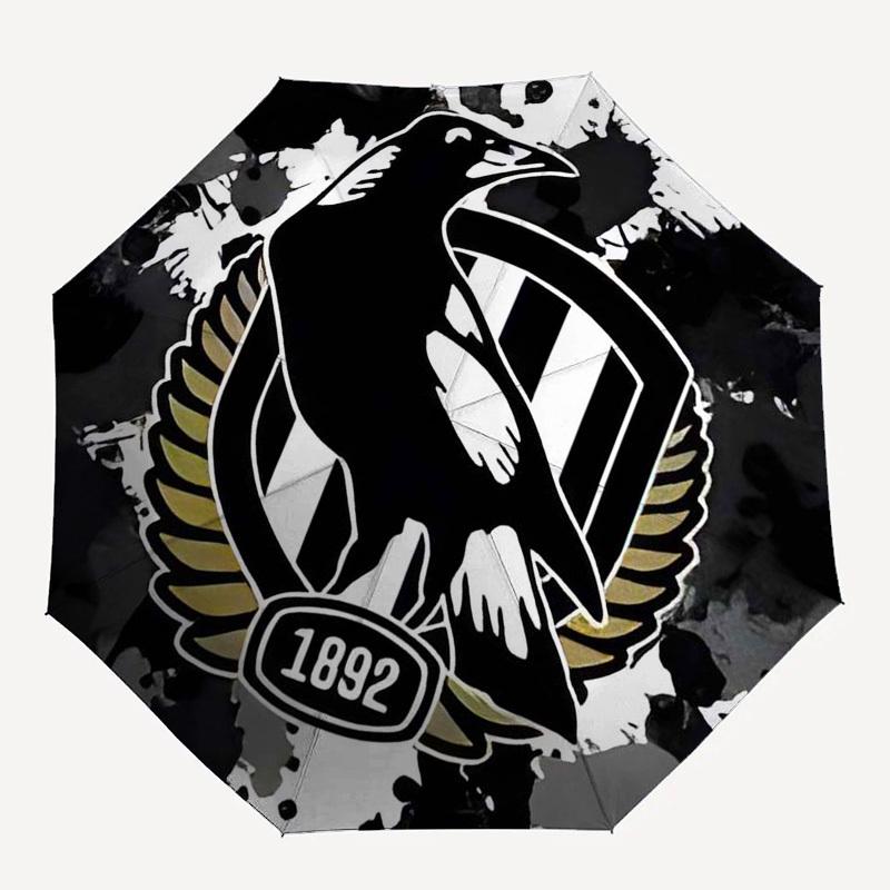 Eagle, Crest Automatic Opening and Closing, 8 rib Structure Portable Umbrella, Suitable for Men and Women in All Seasons Perfect Gift for H