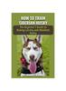 Книга How To Train Siberian Husky : The Complete Beginner's Guidebook To Raising Lovely and Obedient Husky