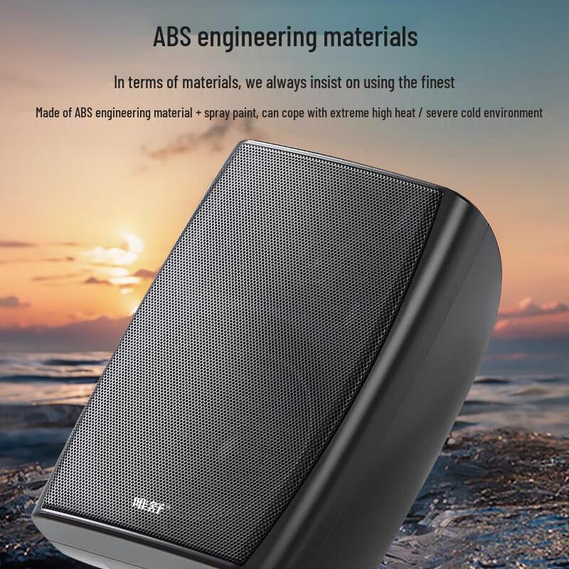 Weishu TP16-50 Wireless FM Wall-Mounted Active Speaker