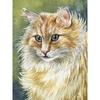New 5D DIY Diamond Painting Cute Cat Diamond Embroidery Animals Cross Stitch Full Square Round Drill Home Decor Manual Art Gift
