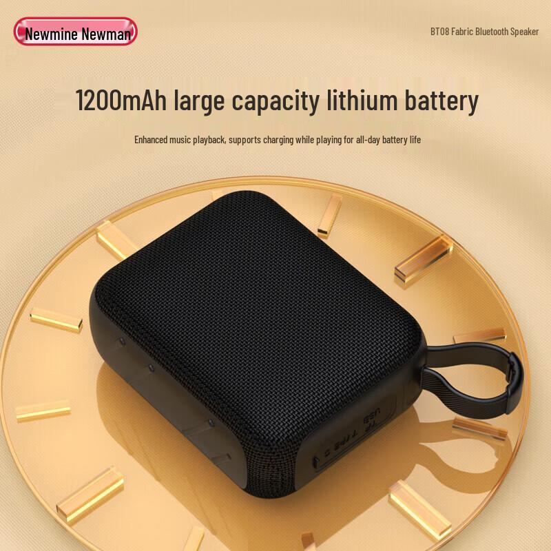 Newman Portable Outdoor Mini Subwoofer Speaker