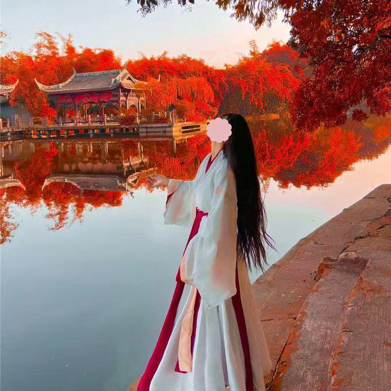 Женский костюм Hanfu в китайском стиле в стиле династий Вэй и Цзинь с перекрестным воротником и длиной до талии, комплект из 2 предметов