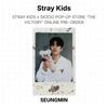 Stray Kids X SKZOO POP-UP STORE 'THE VICTORY' ОНЛАЙН ПРЕДЗАКАЗ Официальная фотокарточка