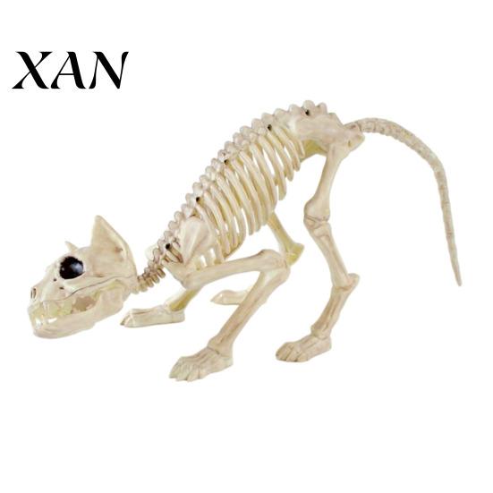 Durable Halloween Skeleton Decor Animal Skeleton, Realistic Fish Bird Spider Snake Cat Creepy Party Props Model for Party, Haunted House, Graveyard