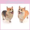 Модель фигурки животного ПВХ собака корги статичная коллекционная игрушка для домашнего декора