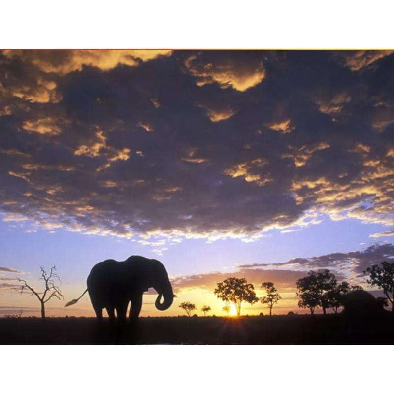 Diamond Painting Dandelion Full Square Mosaic Art Sunset Diamond Embroidery Landscape Picture of Rhinestone Home Decor