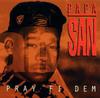LP Record PAPA SAN - Pray Fi Dem VPRAS3115 Real Authentic  1993 US Reggae, Ska & Dub Used