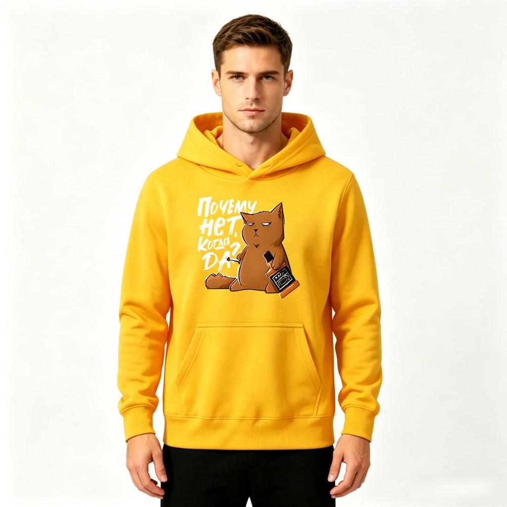 Men's Casual Pullover Hoodie, Funny Grumpy Orange Cat Print Long Sleeve Hooded Sweatshirt For Daily Wear