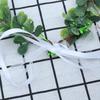 Frcolor Flower Crown, Hairband, Headpiece, Green Leaf, Flower Crown, Hair Ornament, Halloween, Christmas, Party, Wedding, Entrance Ceremony,