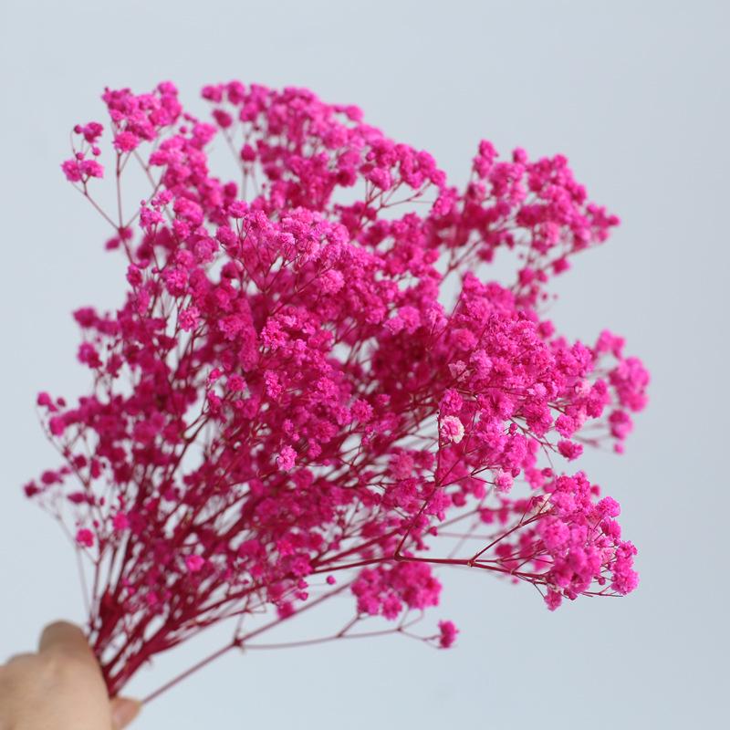 Yunnan Preserved Baby's Breath Bunch - Colorful DIY Home Decor Flower