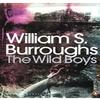 The Wild Boys by William S. Burroughs Paperback Book 9780141189833