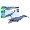 TAKARA TOMY Ania Blue Whale Animal Динозавр Игрушка Возраст AL-23 (Плавающая версия.) 3+