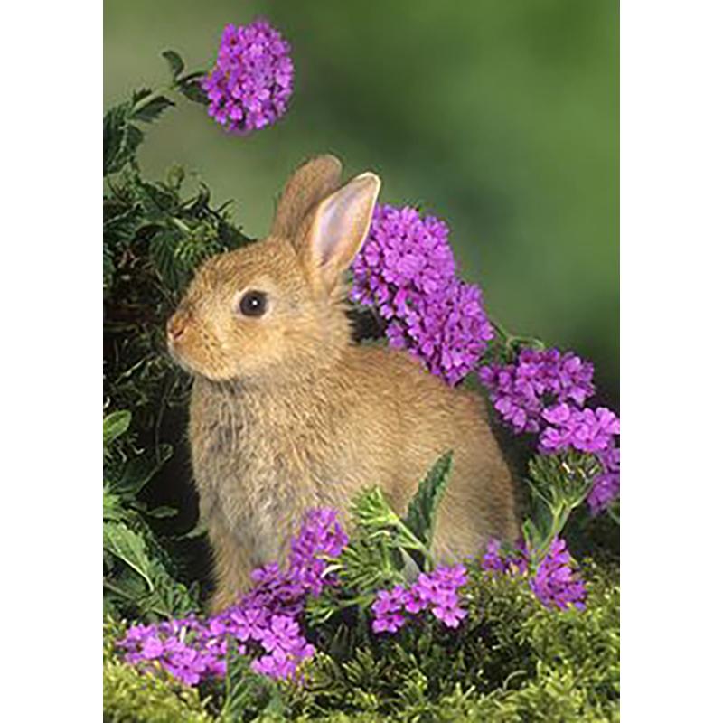 Кролик DIY 5D алмазная живопись полная круглая дрель животное живописная Алмазная вышивка набор крестиков настенное искусство домашний декор подарок