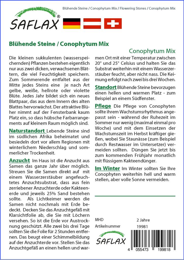 SAFLAX Garden in the Bag - Цветущие камни / Conophytum Mix - 40 семян - С субстратом в подходящем стоячем пакете - Conophytum Mix