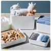Plastic Desktop Storage Box with Lid