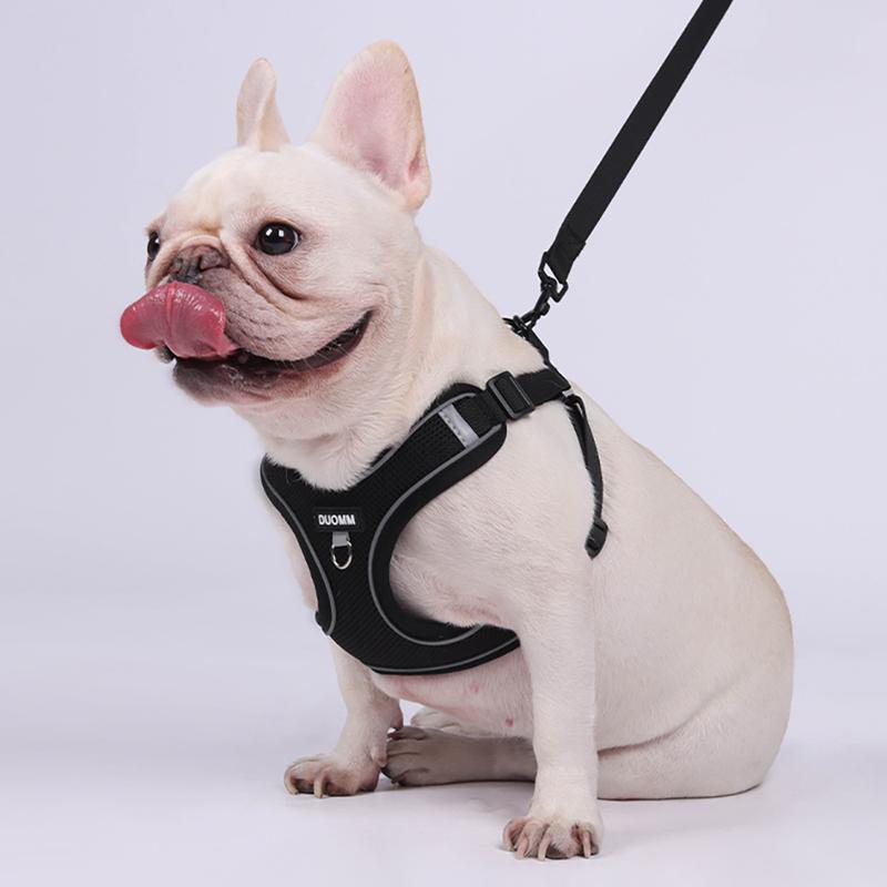 Soft Mesh Dog Harness and Leash Set for Small Medium Dogs, Adjustable Reflective Puppy Vest Comfortable Walking Harness