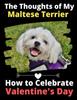 Книга The Thoughts of My Maltese Terrier : How To Celebrate Valentine's Day