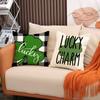 Улица. Чехол на подушку из хлопка и льна ко Дню Святого Патрика, наволочка для дивана, домашний декор, 18 дюймов