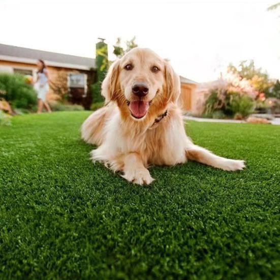 ПЭ Имитация газона Искусственная трава Ковер Для помещений и улицы Реалистичная трава с дренажными отверстиями Низкий уход Коврик для собачьей мочи Легкий