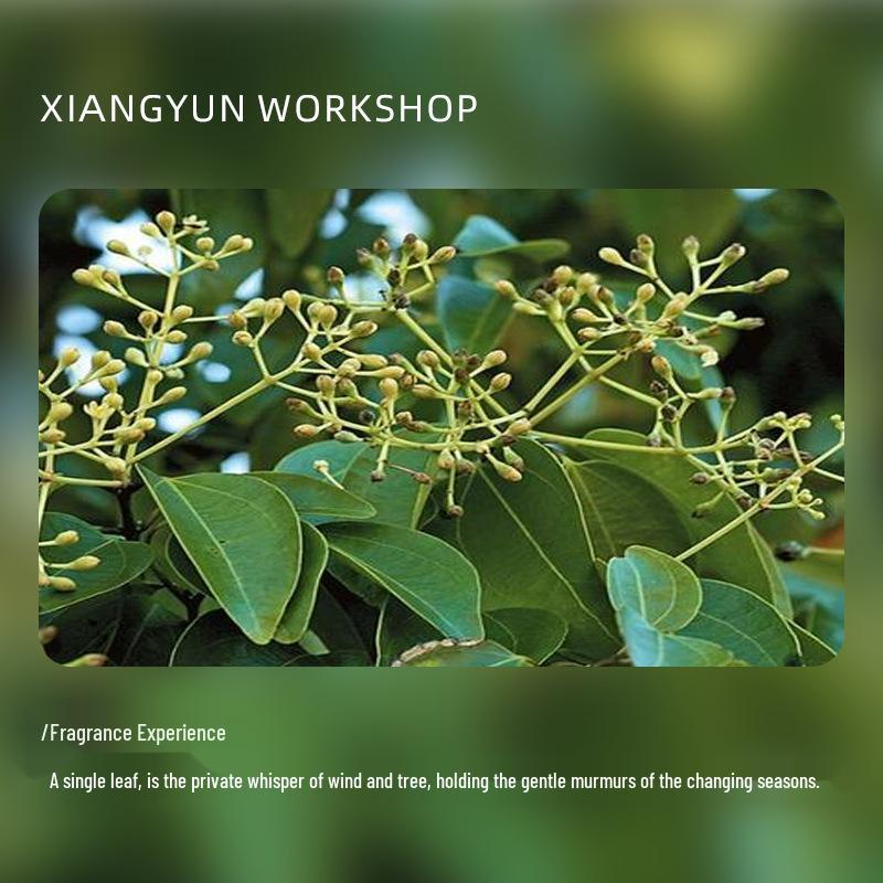 Высокочистые масла рябины, эвкалипта и камфоры для увлажнения и питания кожи