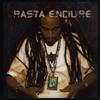 CD JAHMAN - Rasta Endure CD77592 Splatter House 2008 US Регги, Ска и Даб