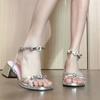 Beautiful Silver Thick-heeled Sandals Female 2025 New Summer Wear with Skirt Fairy Style French Temperament High Heels
