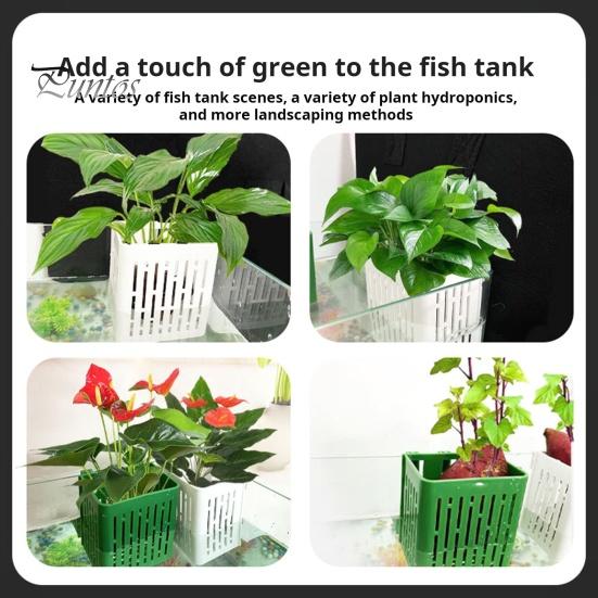 1/2/3/5/10Pcs Aquarium Plant Holder Top Hanging Fish Tank Planter Pot with Hook Platic Aquatic Plant Cup for Aquascape Decoration