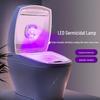 Smart 2024 Ultraviolet Toilet Sterilizer: Automatic Odor Removal & Disinfection Light