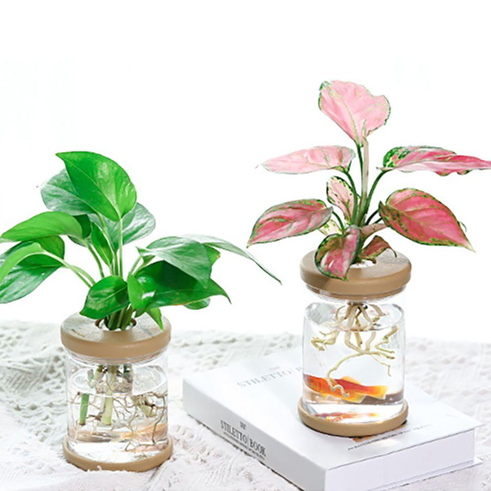 Glass Transparent for Indoor/Outdoor Hydroponic Flowerpot Flower Planter Garden Supplies Home Decor