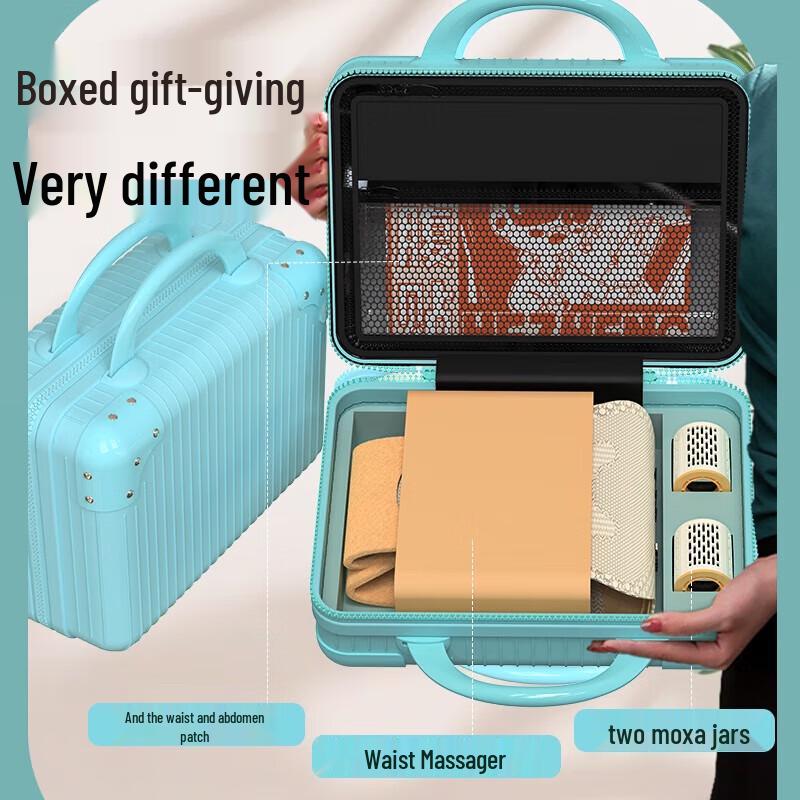 Hezheng Waist Support Smokeless Moxibustion Massager CN plug (adapter included)