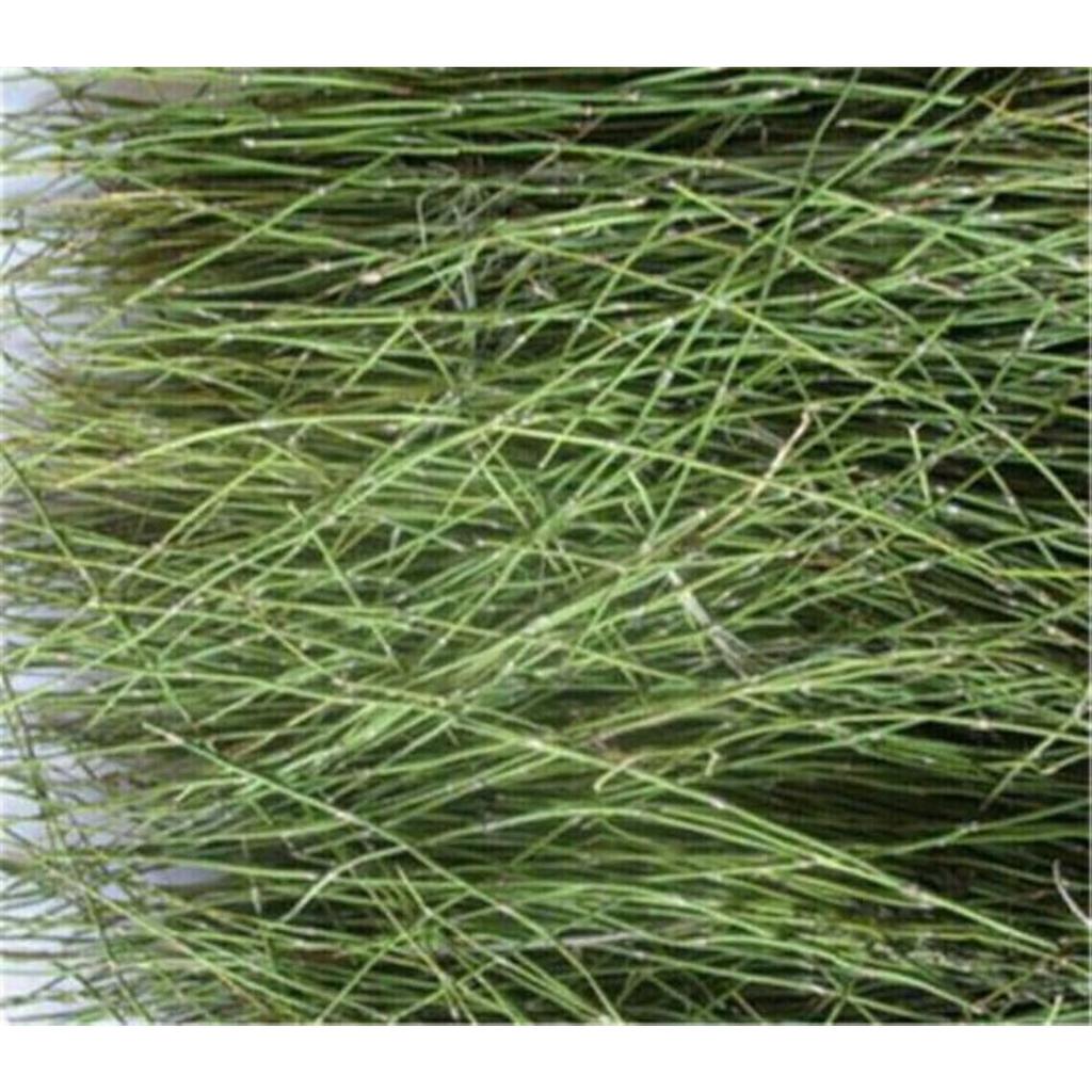 Эфедра травяной чай Китайский оригинальный ароматизированный чай Хороший чай Натуральный органический цветочный чай Зеленый пищевой травяной чай без добавок (500г)