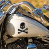 Metal 3D Skull Head Bone Motorcycle Car Tank Emblem Badge Decal Sticker Decor