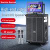 NEWMINE N517 Home KTV Karaoke System with 17-inch Display
