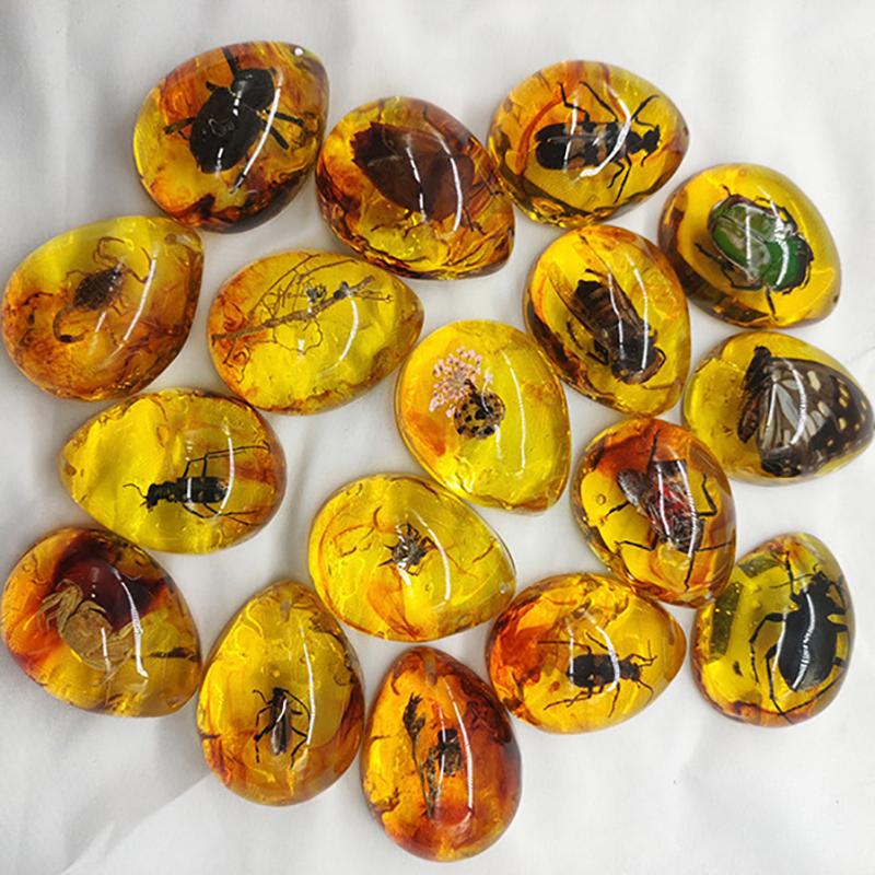 Случайный 1 шт. Насекомые Янтарь Драгоценный камень Скорпион Натуральный Минерал Домашний Декор Насекомые Янтарь Драгоценный камень Сделай сам Ручные поделки Подарок