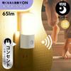 Ohm Electric Датчик ночника-подсветки для ног Цвет лампы-подсветки для ног Тип розетки Питание от сети Переключатель Белый свет/Темно NIT-ALA6MCL2-WL 06-5153