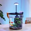 Compact Round Goldfish Bowl - Oxygenated Flowing Water Eco-Cycle Aquarium for Office & Home Desktop (Durable, Low-Maintenance)