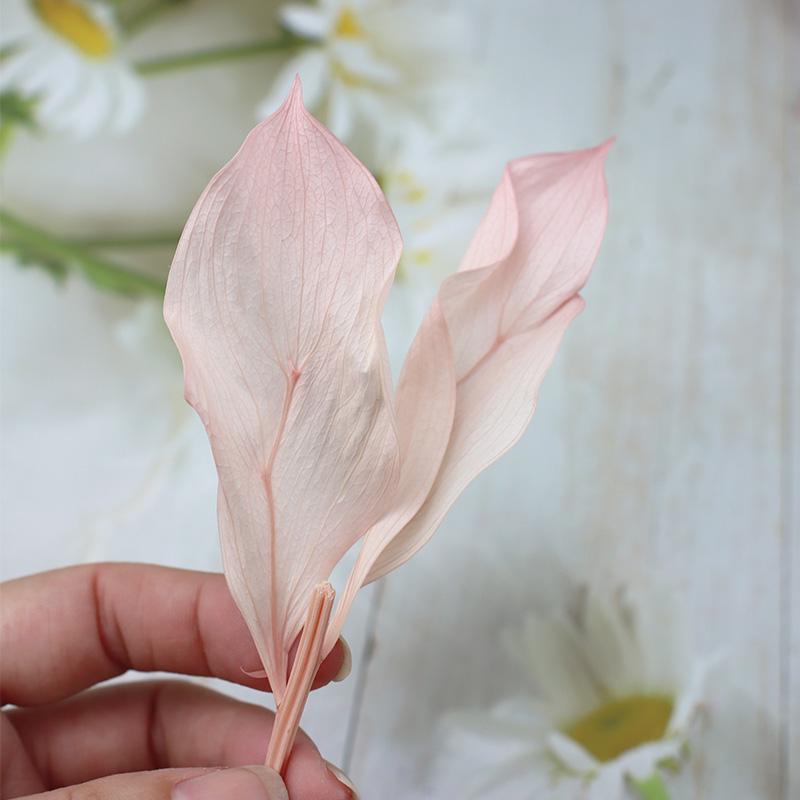 DIY Floral Art Ornament: Preserved Tangerine & Fishtail Leaf, Lily, Bamboo Dried Flowers – Ikebana Photo Prop for Home Décor.