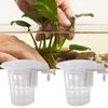ABS Hanging Aquarium Plant Holder Aquascape Decoration with Hole Fish Tank Planter Cups Adjustable Hydroponic Planting Cup