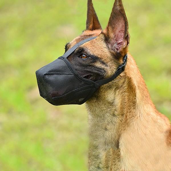 Намордник Ranboer из сетки для собак среднего и крупного размера L, черный, 1 шт.