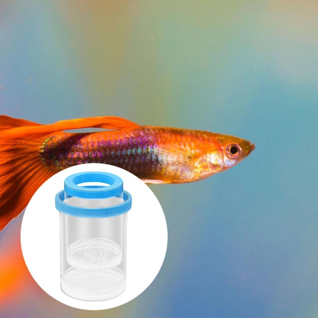 Изоляционный ящик для разведения рыб для аквариума, пластиковая сетка, инкубатор, ящик для разведения мальков рыбок, креветок, рыб-клоунов, гуппи