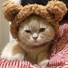 Short Plush Pet Headgear Pet Accessories Pet Headwear Cute Puppy Cap