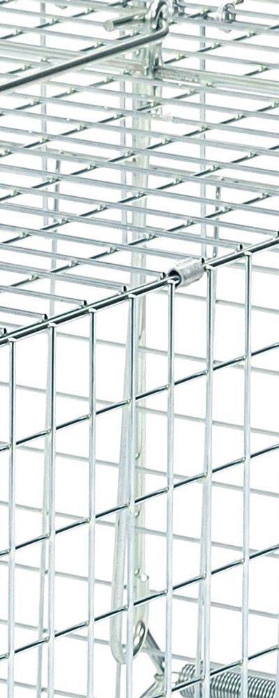 Sakae Hills Trap D Type 202 для ласок от Sakae Industries No. ИТ-2, (мужчина), Серебро,