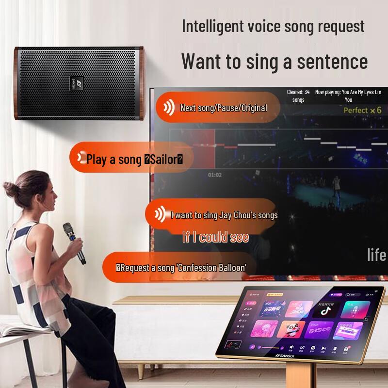 SANSUI H15 Home KTV Audio System